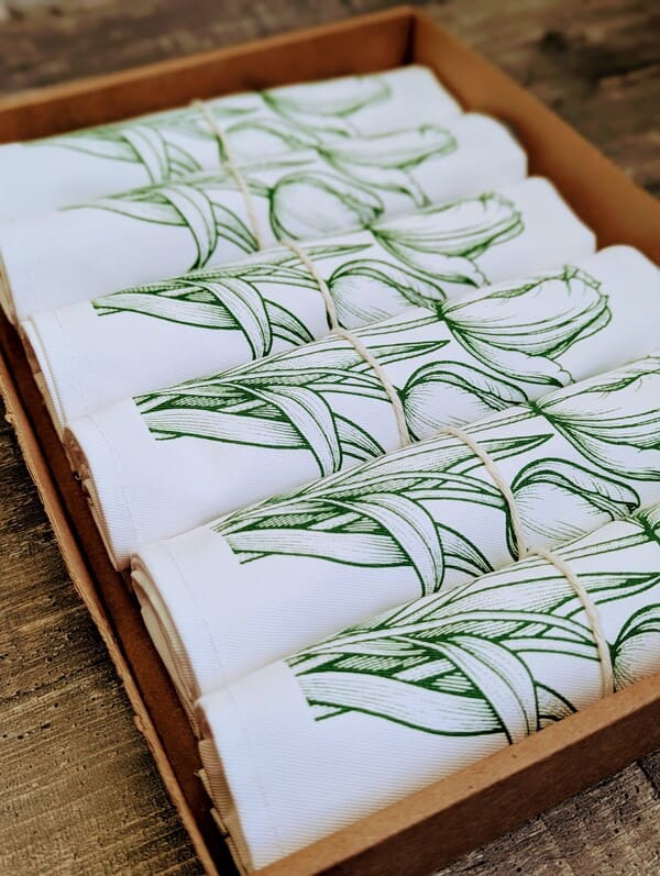 Зеленый тюльпан