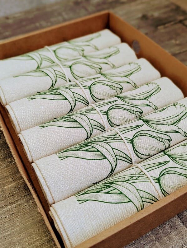 Зеленый тюльпан